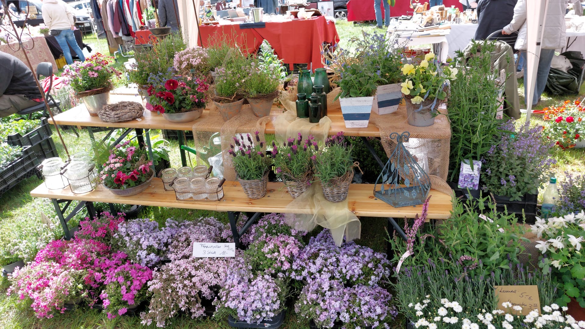 Wir sind auf dem Antik & Trödelmarkt in Gut Sierhagen