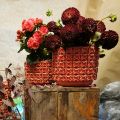 images/galerieflorale/florales_18.jpg